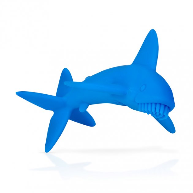 鯊魚固齒器 1
